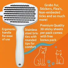 Load image into Gallery viewer, Bully Brush