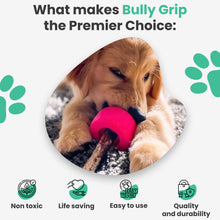 Load image into Gallery viewer, Bully Grip - Small