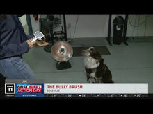 Load and play video in Gallery viewer, Bully Brush