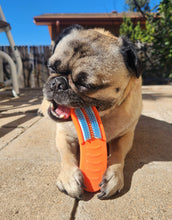 Load image into Gallery viewer, BullyBrushir