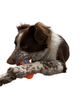 Load image into Gallery viewer, BullyBrushir