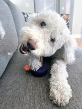 Load image into Gallery viewer, Bully Lok Chew Holder