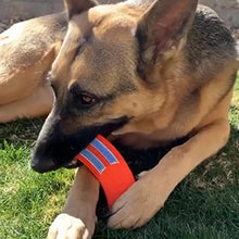 Load image into Gallery viewer, BullyBrushir