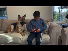 Load and play video in Gallery viewer, Bully Lok Chew Holder