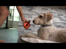 Load and play video in Gallery viewer, MISFIT BULLY GRIP MEDIUM