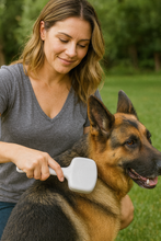 Load image into Gallery viewer, Bully Brush
