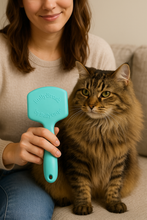 Load image into Gallery viewer, Bully Brush
